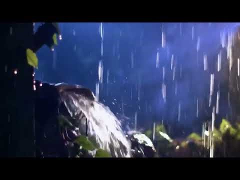 Night Rain for Sleeping – Black Screen | Deep Sleep Rain Sounds & ASMR Rain, No Ads