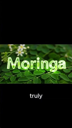 The Power of African Herbs: Meet The Green Giants of African Medicine