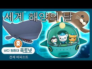 바다 탐험대 옥토넛 - 🌊 세계 바다의 날 🌎 - 모음집