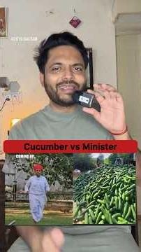 How Minister of Agriculture Bhagirath choudhary farm Cucumber using subsidy #cucumber #subsidy