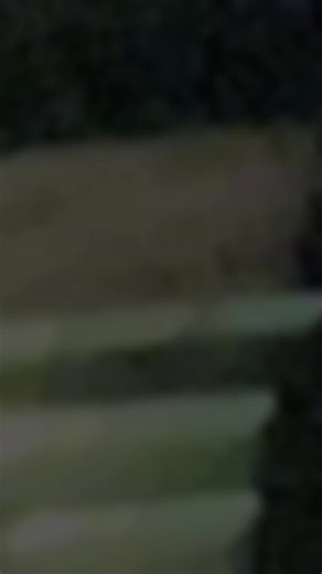 #สตอรี่ความรู้สึก