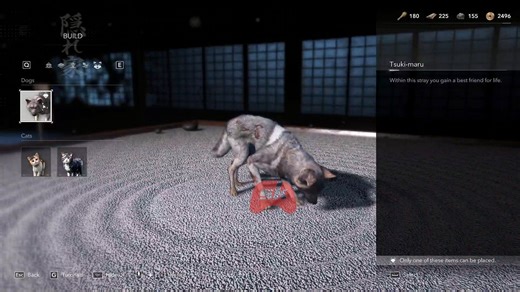 How to pet dogs and cats in Assassin's Creed Shadows