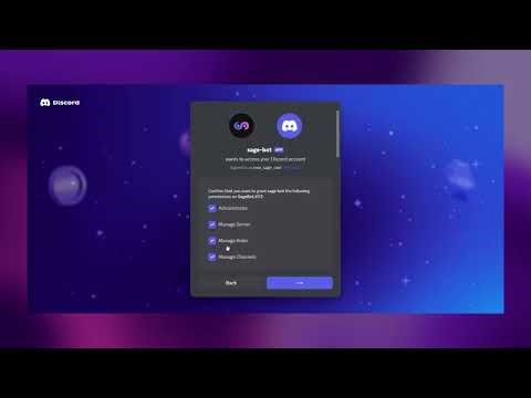 Introduction & Setup