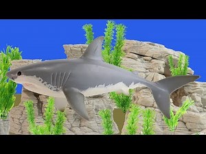 Great White Shark Song - Shark Songs for Kids Shark bite - Schleich Shark Song animation