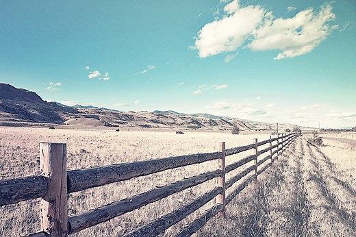 Beef Quality Assurance - BQA - Beef Quality Assurance Awards