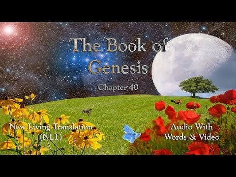 The Book of Genesis, Chapter 40 – Holy Bible (NLT) – Audio with Words & Video