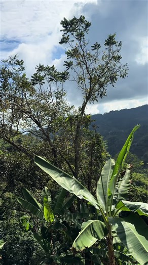 #QUEBENDICIÓNVE | jh de la cruz