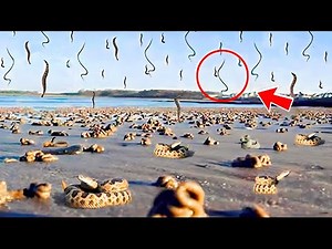 One in a billion chance! An extremely rare natural phenomenon caught on camera