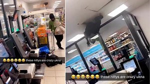 Shocking footage shows shoplifters brazenly looting Tesco store