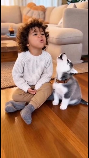 8.5K views · 60 reactions | Cute Howling Duo  | Baby Husky & Little Boy Try to Howl Together殺 #husky #dog #cute #viralvideo #puppy | Василина Сінькевич | Facebook
