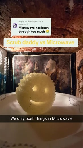 Things In Microwave on Instagram: "Follow @thingsinmicrowave for more."