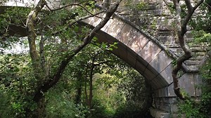 13K views · 186 reactions | A project to invest in over 30km of new multi-use trails across central Cornwall to increase opportunities for cycling to work, for leisure and to promote healthy active lifestyles, has taken a step forward today. For more information: bit.ly/2Z2VxRu | Cornwall Council | Facebook