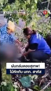Doi Suthep hit by heavy rain! Fallen tree crushes tourist, critically injured