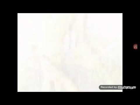 My Friends Tigger & Pooh: Hundred Acre Wood Haunt DVD Commercial (2008)