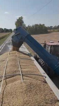 CASEIH Magnum 340CVT Tractor & Kinze 1300 Grain Cart | 22" Unload Rated @ 750 bushels per minute!!
