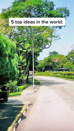 5 Top Ideas for a Better Life: Essential Advice