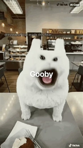 Gooby this gooby that gooby wifi