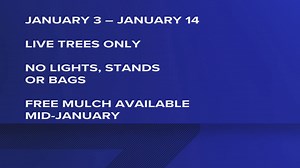 City of San Antonio offers free Christmas tree recycling