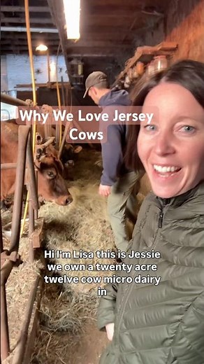 We choose Jersey cows on our microdairy, not just because they're the cutest! ￼🥰 #dairyfarm