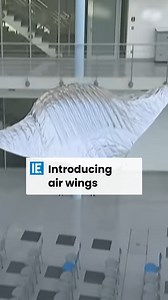 The uplift provided by helium and its beating wing moves through the air just as its natural role model moves through the water. | Interesting Engineering