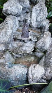 Magnolia Emporium on Reels | Facebook