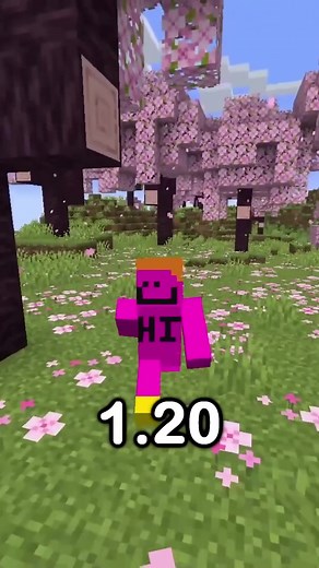 the rarest armor trim is very rare . . . . . . . . #ytshorts #Camman18 #minecraftmovie #CS2 #tailsandtrails #2000skids #reels #MinecraftLegends #minecraft #overwatch | Camman18