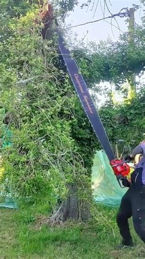 Monster Saw! Cut Down Trees Without Any Trouble #shorts