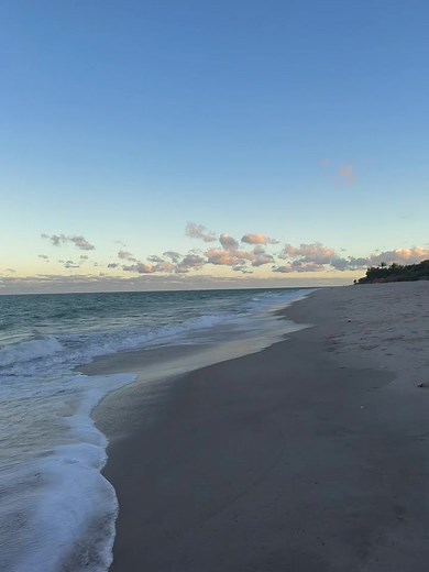 Beach Walk: Aesthetic Views of Florida Beaches