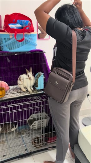 The Miracle of Waking Up Early with Rabbits