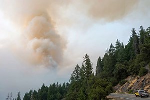 Trump administration axes logging protections for national forests to prevent wildfires