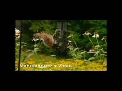 Squirrel Buster Classic Bird Feeder | DrsFosterSmith.com