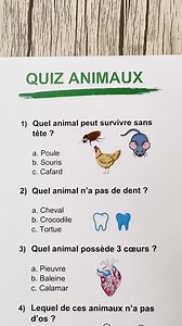 Des questions pour tester vos connaissances sur les animaux ! #quiz #questions #animaux #iq #france | Quiz Minute