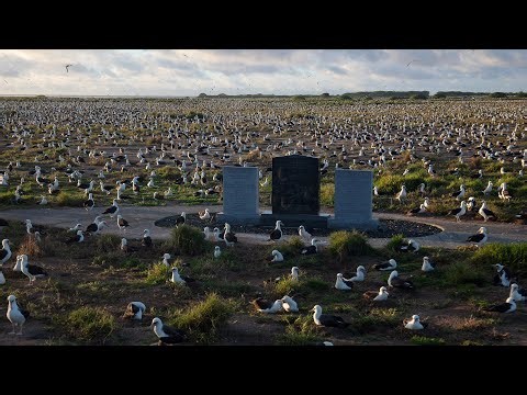 Midway Atoll 360° Virtual Tour