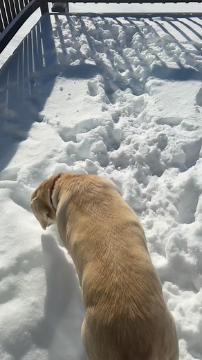 Matt Thompson on Reels