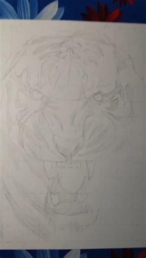 tiger outline