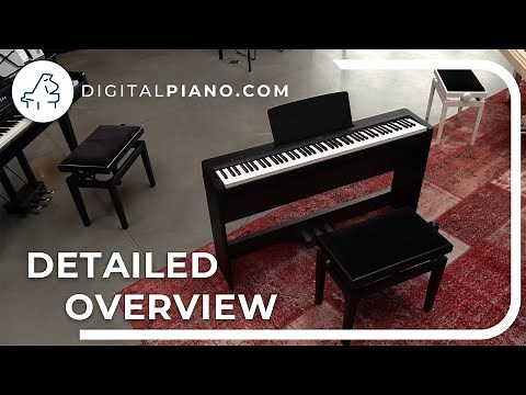 Yamaha P-145 - Detailed Overview | Digitalpiano.com