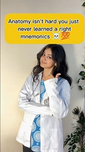 🔥 Anatomy Mnemonics Every Medical Student Must Know! 🧠 | Exam Revision #Shorts