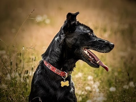 How-To use Content Aware Scaling in Photoshop CS6