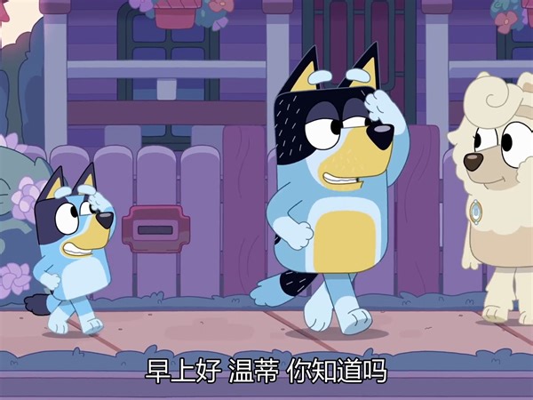 BLUEY-COPYCAT（祺祺配音版）