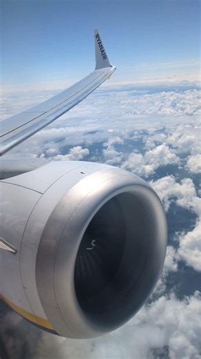 B737 MAX 8 Engine View #b737max #engine