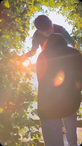 Yash | fitness | lifestyle (@yaps_w_yash) • Instagram photos and videos