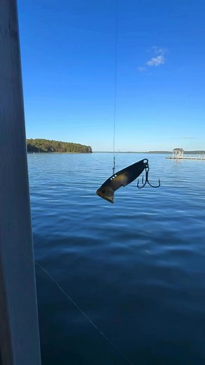 It’s lights, camera, action when you pull out the SteelShad Bottom Blade! 😤🎣 #SteelShadLures | SteelShad Lures