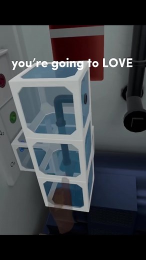 Immerse Yourself in VR Interactions with Egression VR Game