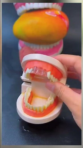 Fill the tooth gap at home #relatable #tooth #smile #dentist #dentures #temporarytooth #repair