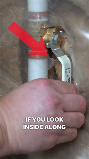 20% of homeowners insurance claims are caused by this ￼