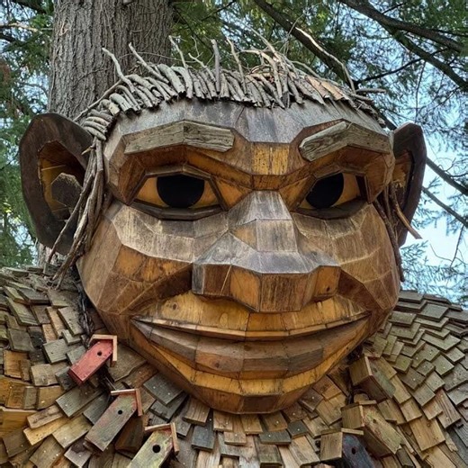The Trolls of Washington