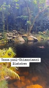13K views · 178 reactions | Tessa Pool is located in Chimanimani, Zimbabwe, and offers a refreshing natural swimming experience with pure, chemical-free water. Come join us and enjoy a swim in this pristine pool! @top fans Zimbabwe news 4 us Zimbabweans ZimCelebs Official Madam Boss Mai Ts Diaries Bruno Furniturez Baba Harare | Discover Zimbabwe | Facebook