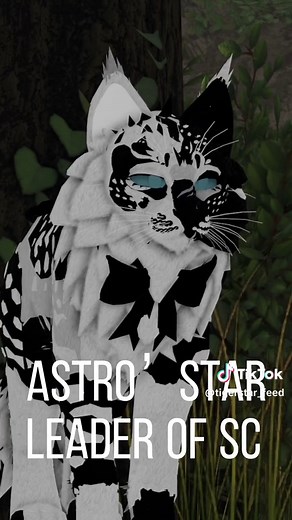 Warrior Cats Clan Name Ideas: Creative Suggestions for Your Feline Warriors