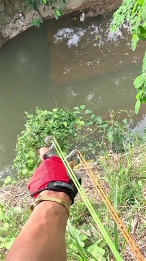 Slingshot Fishing Techniques for Beginners