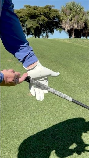 Driver Grip (Proper Setup)